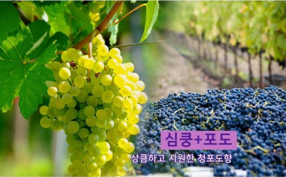 가방 -S6L17