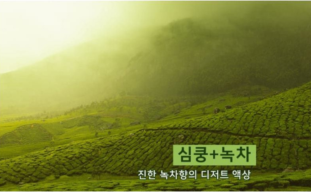 가방 상품상세 이미지-S6L11