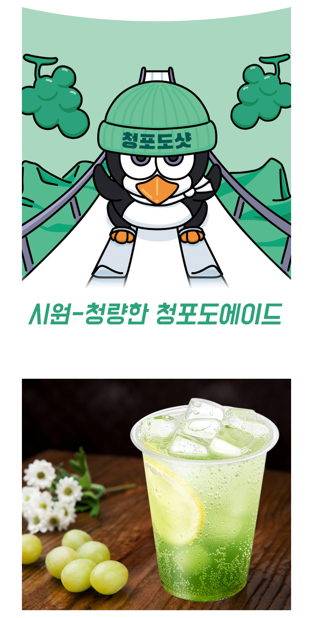 화장품 -S3L9