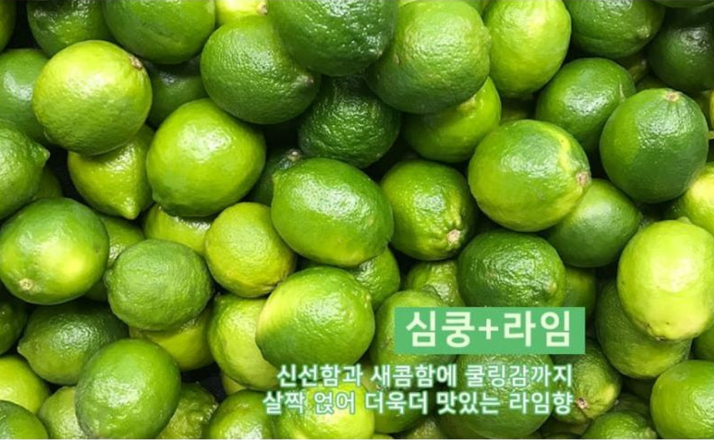 가방 -S6L18