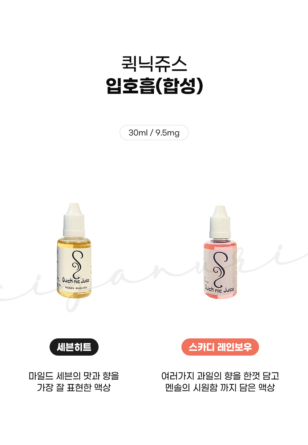 점퍼 -S10L2