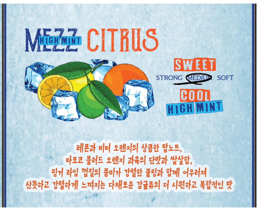 블라우스 -S11L2