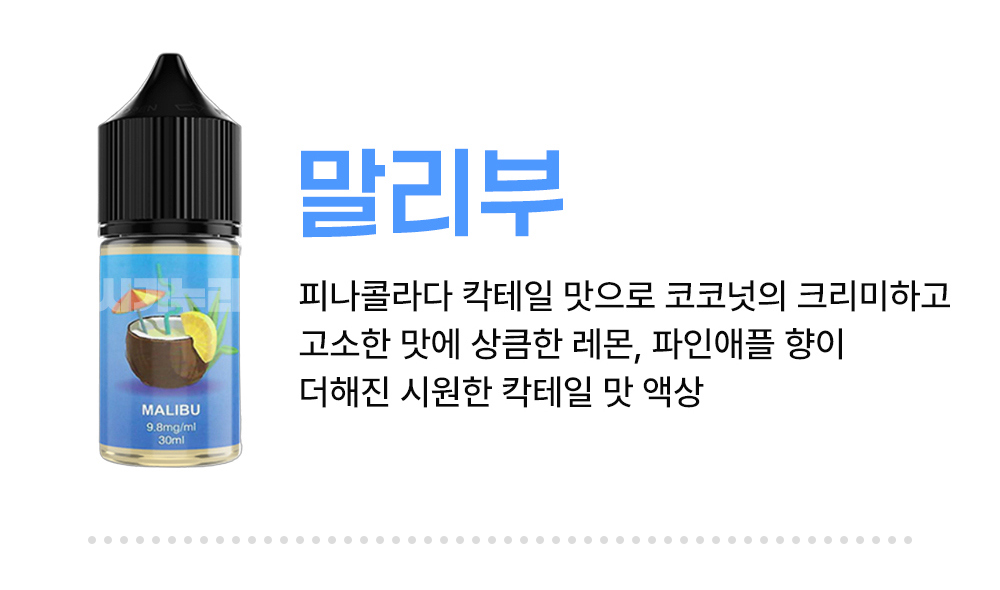 악세사리 -S5L10