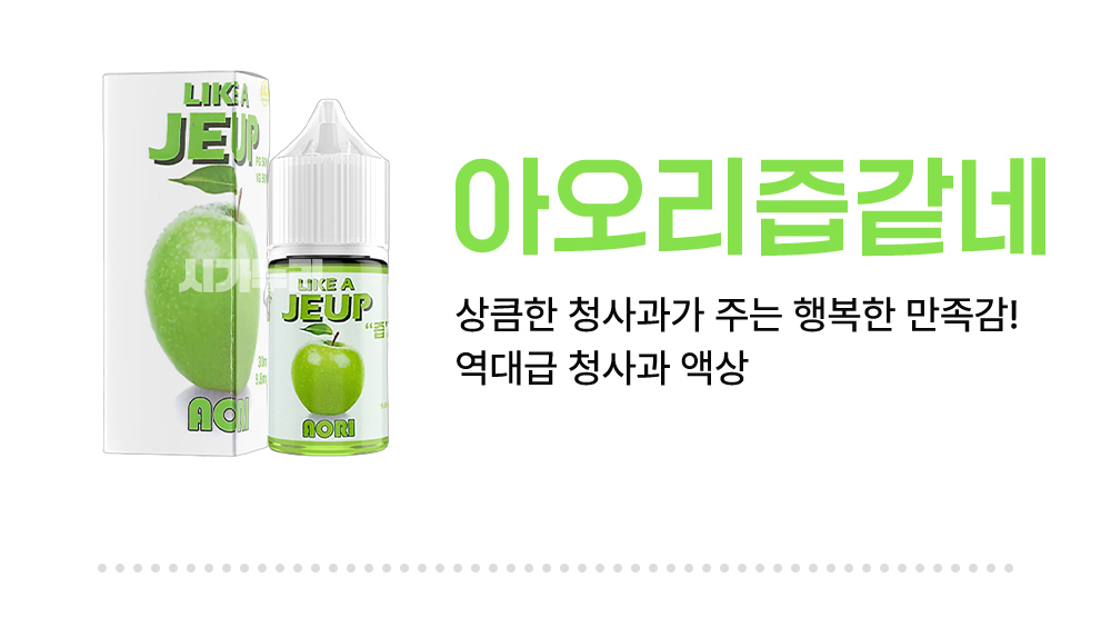 악세사리 -S5L16