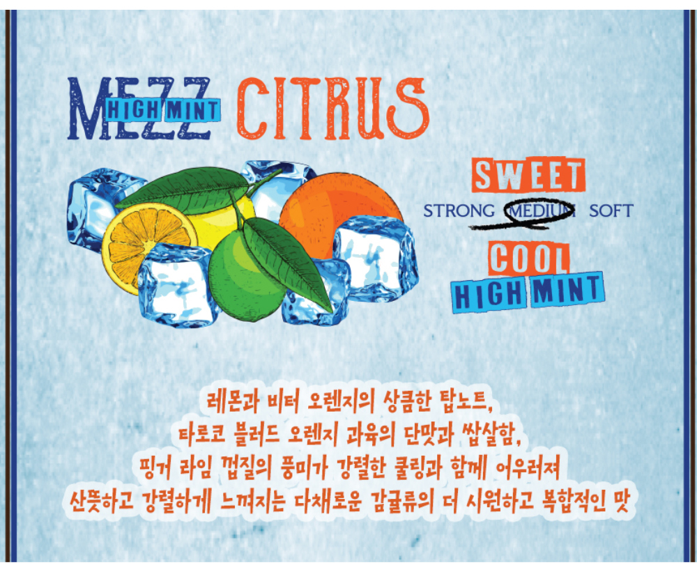 블라우스 -S11L2