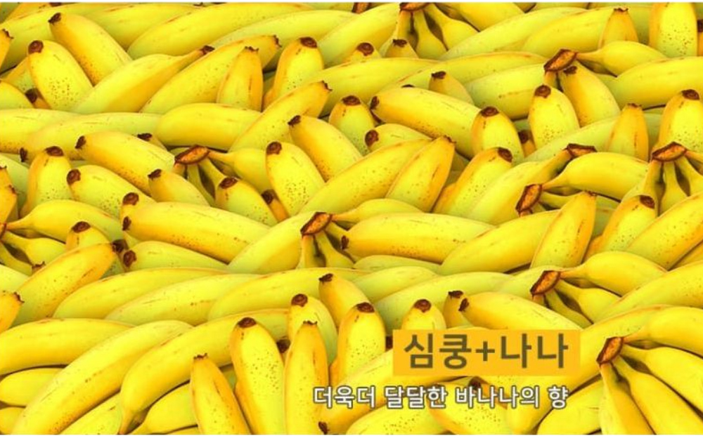 가방 -S6L20