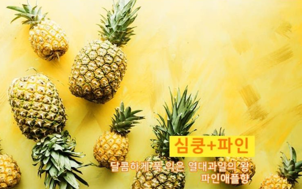 가방 -S6L14