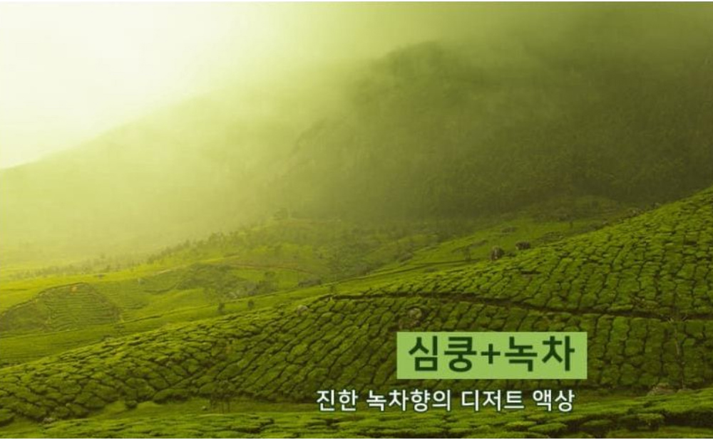가방 상품상세 이미지-S6L11