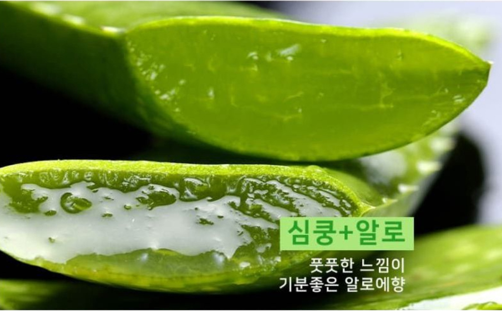 가방 -S6L13